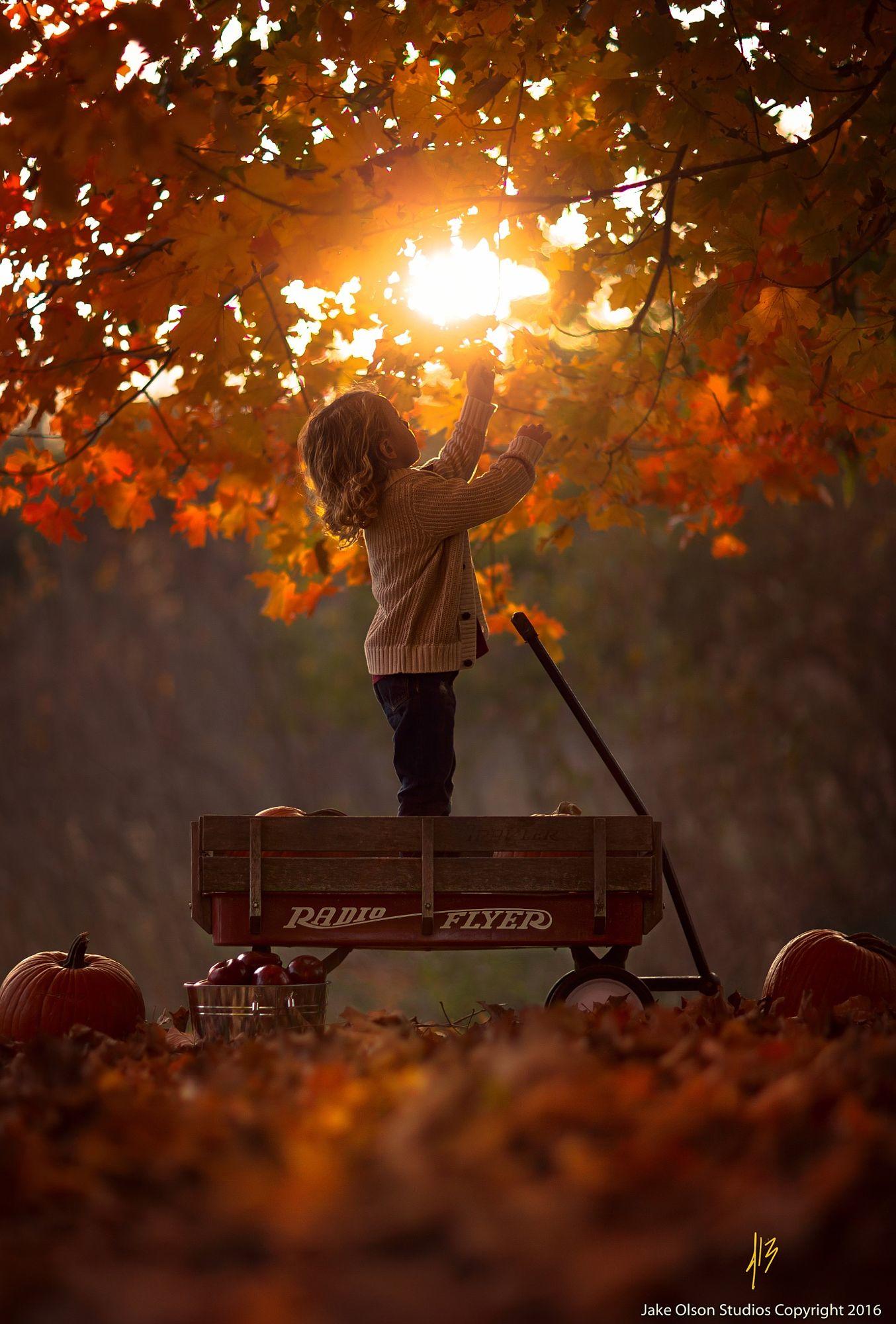 Radio Flyer