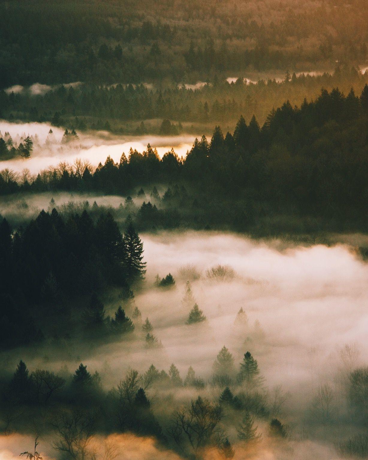 Waves of fog.