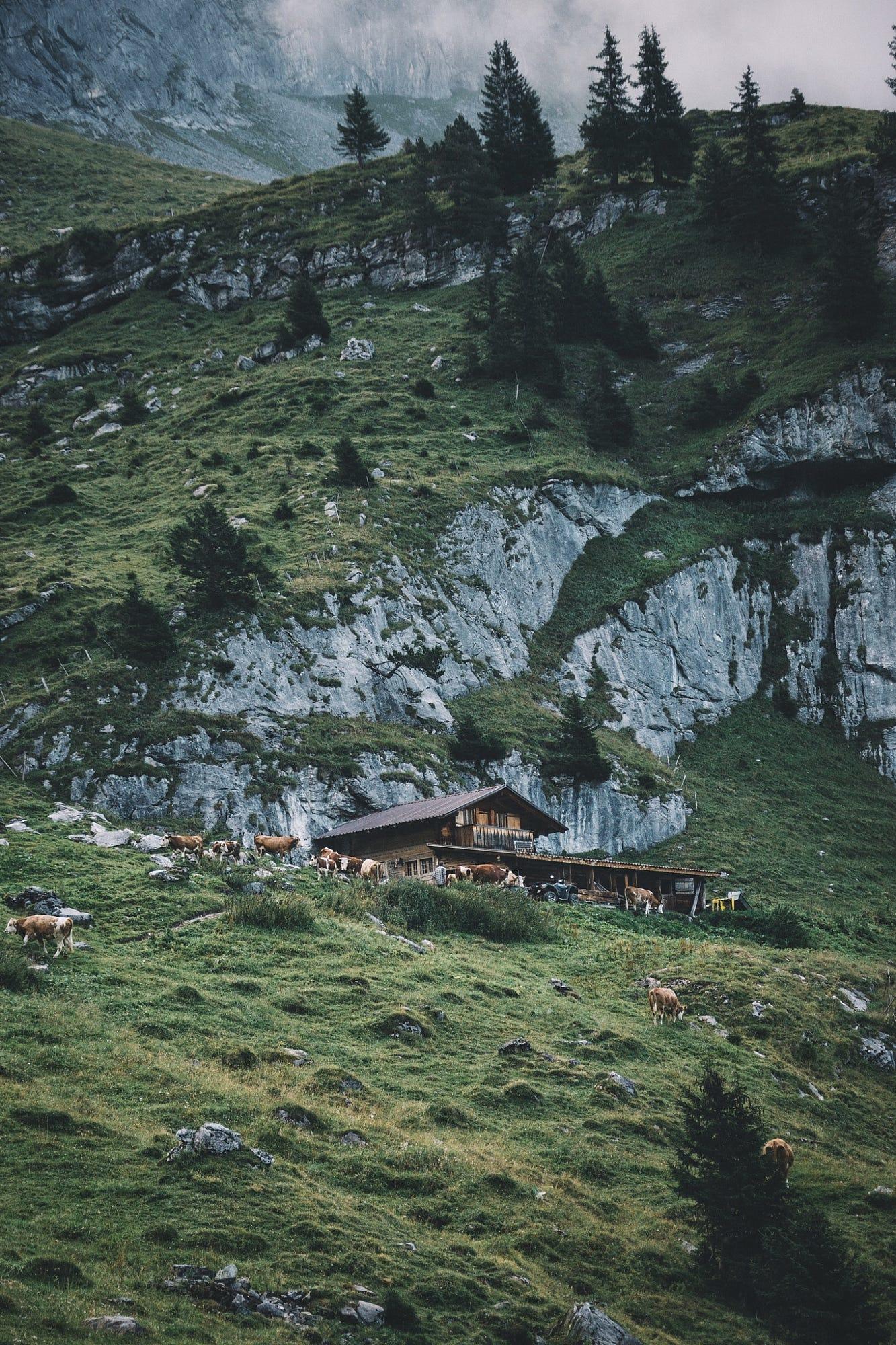 Alpine house goals.