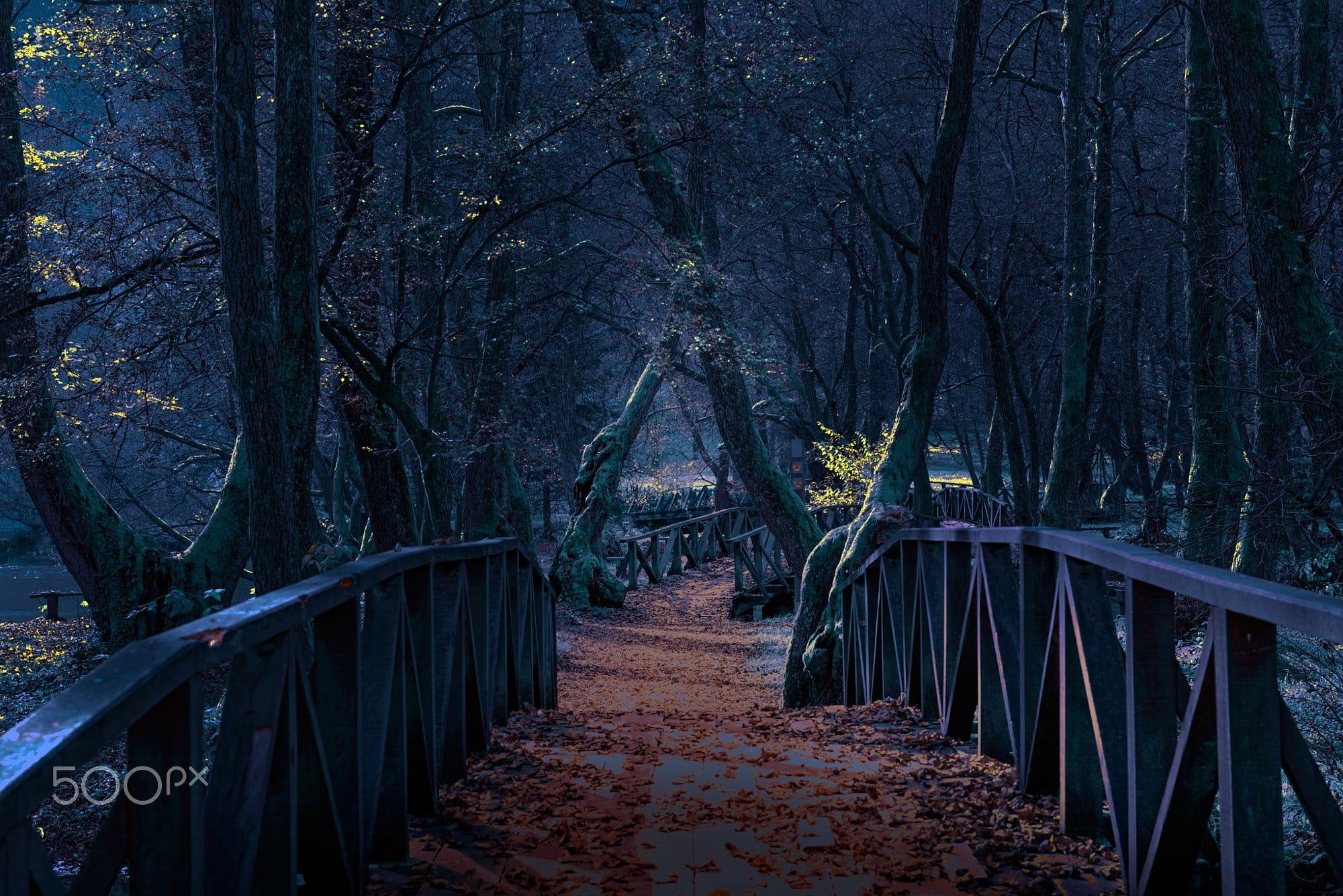 Wooden Bridges