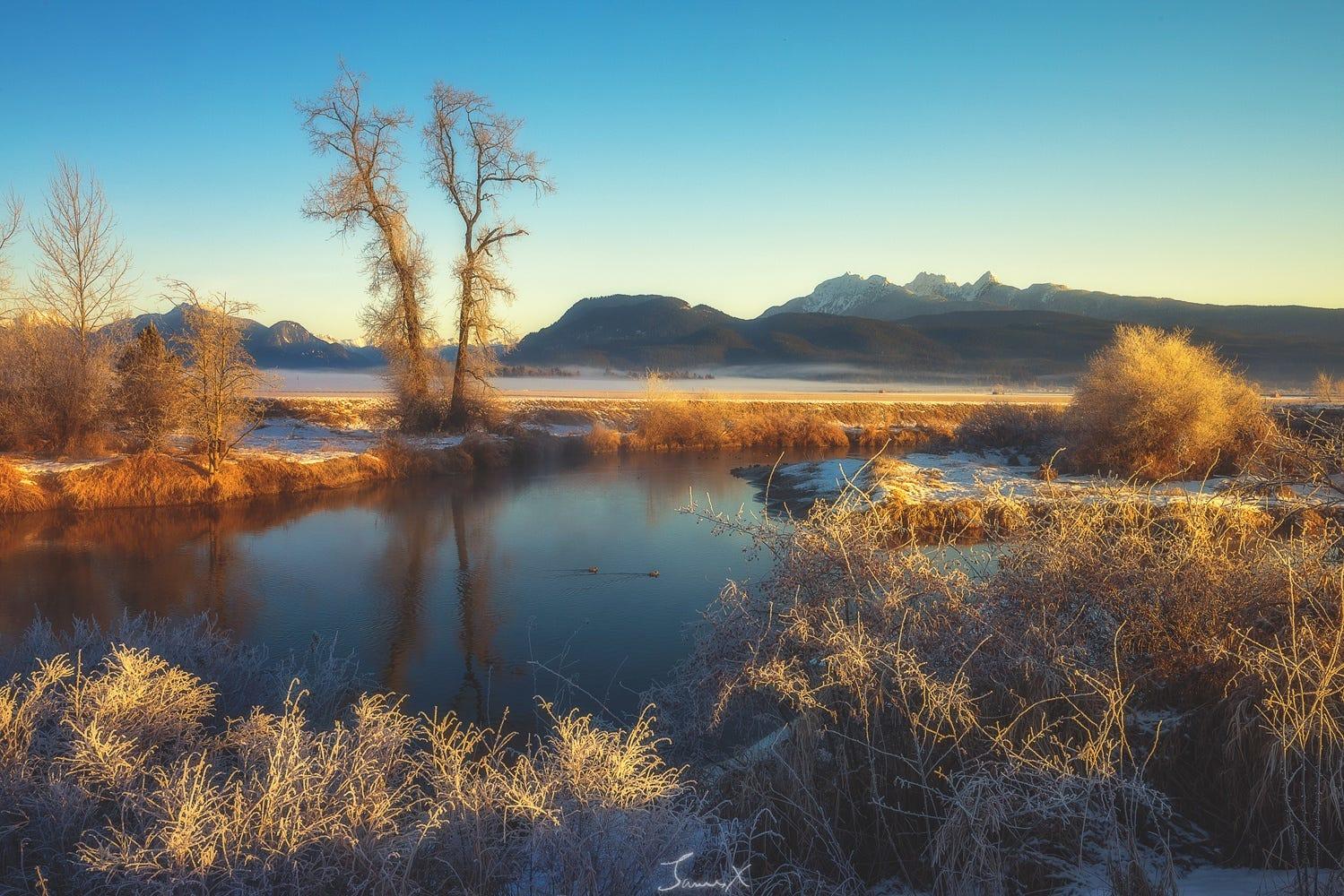 Winter Morning at Home