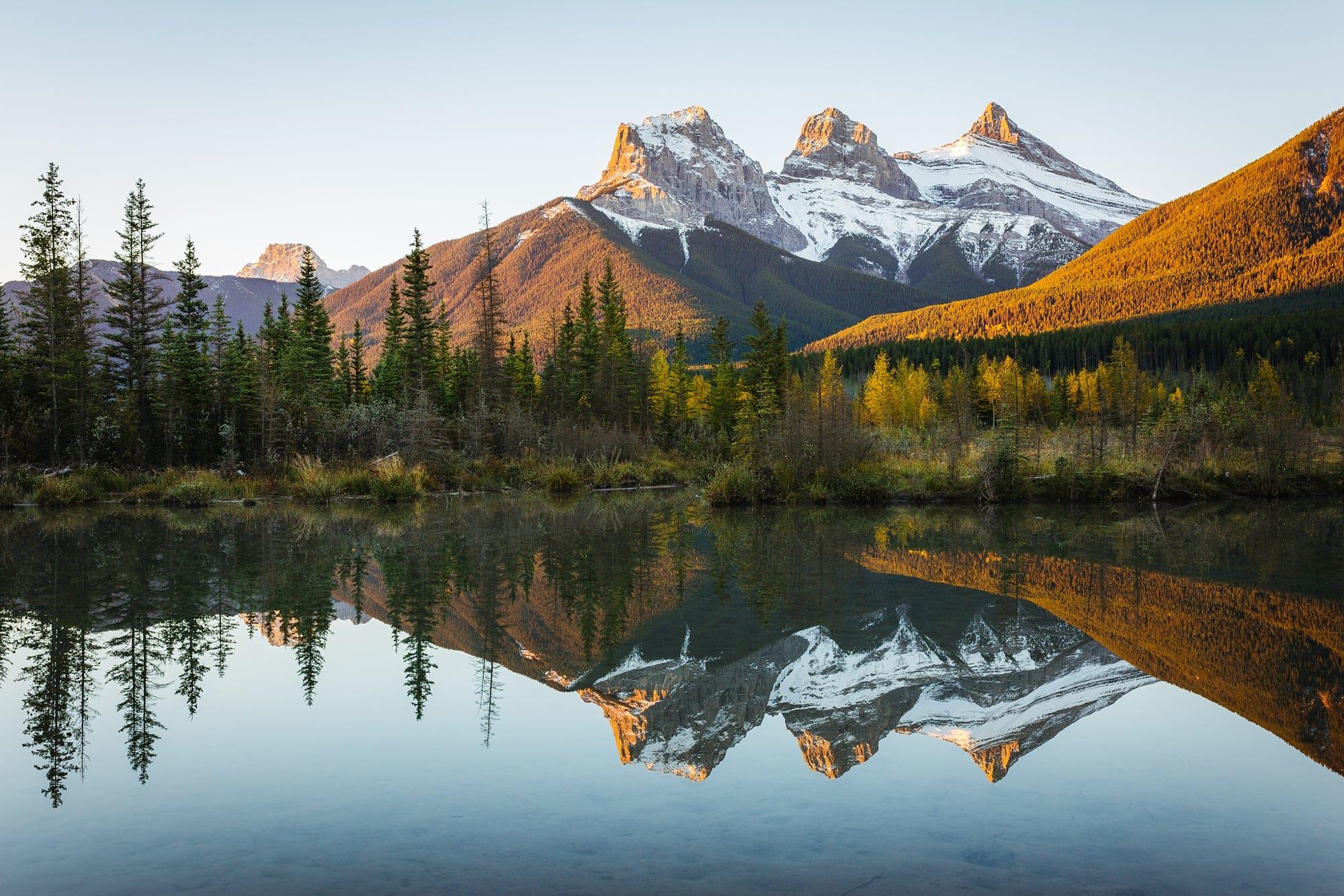 Three sisters last autumn.