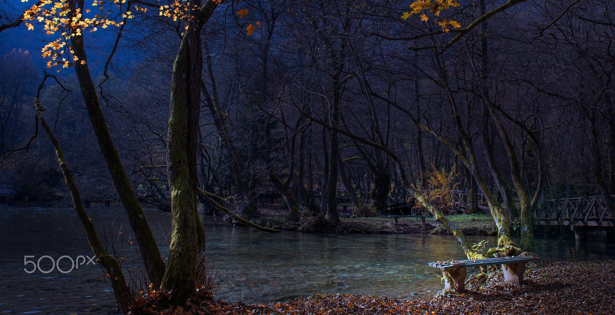 The Bench