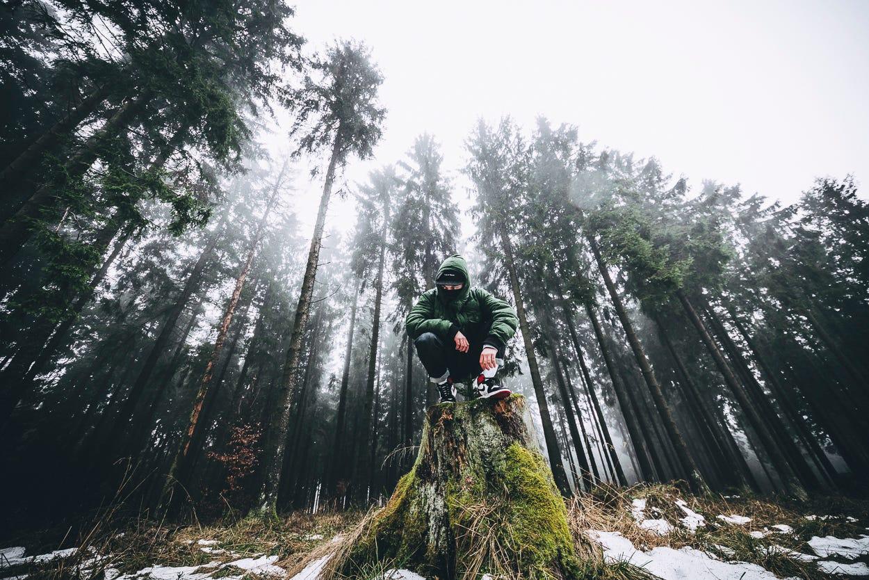 lurking in the moody woods.