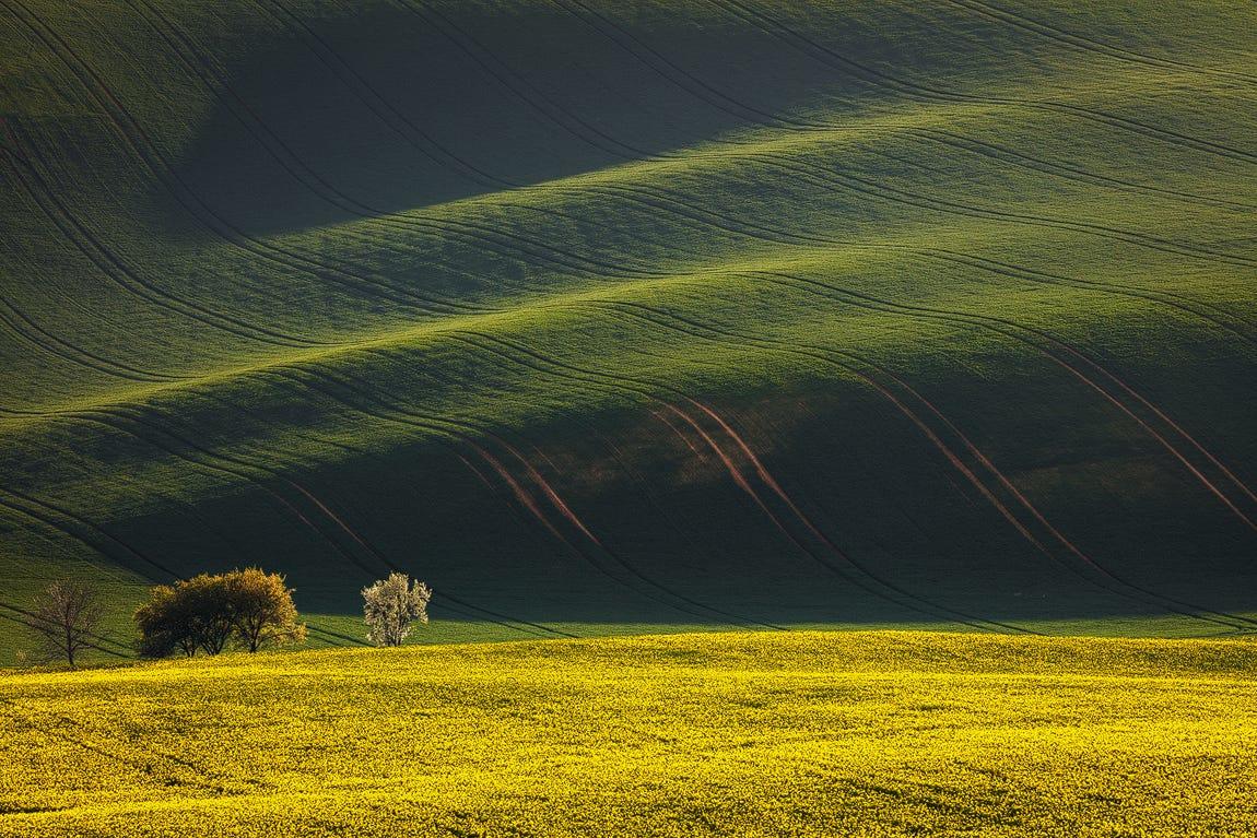 Spring in South Moravia