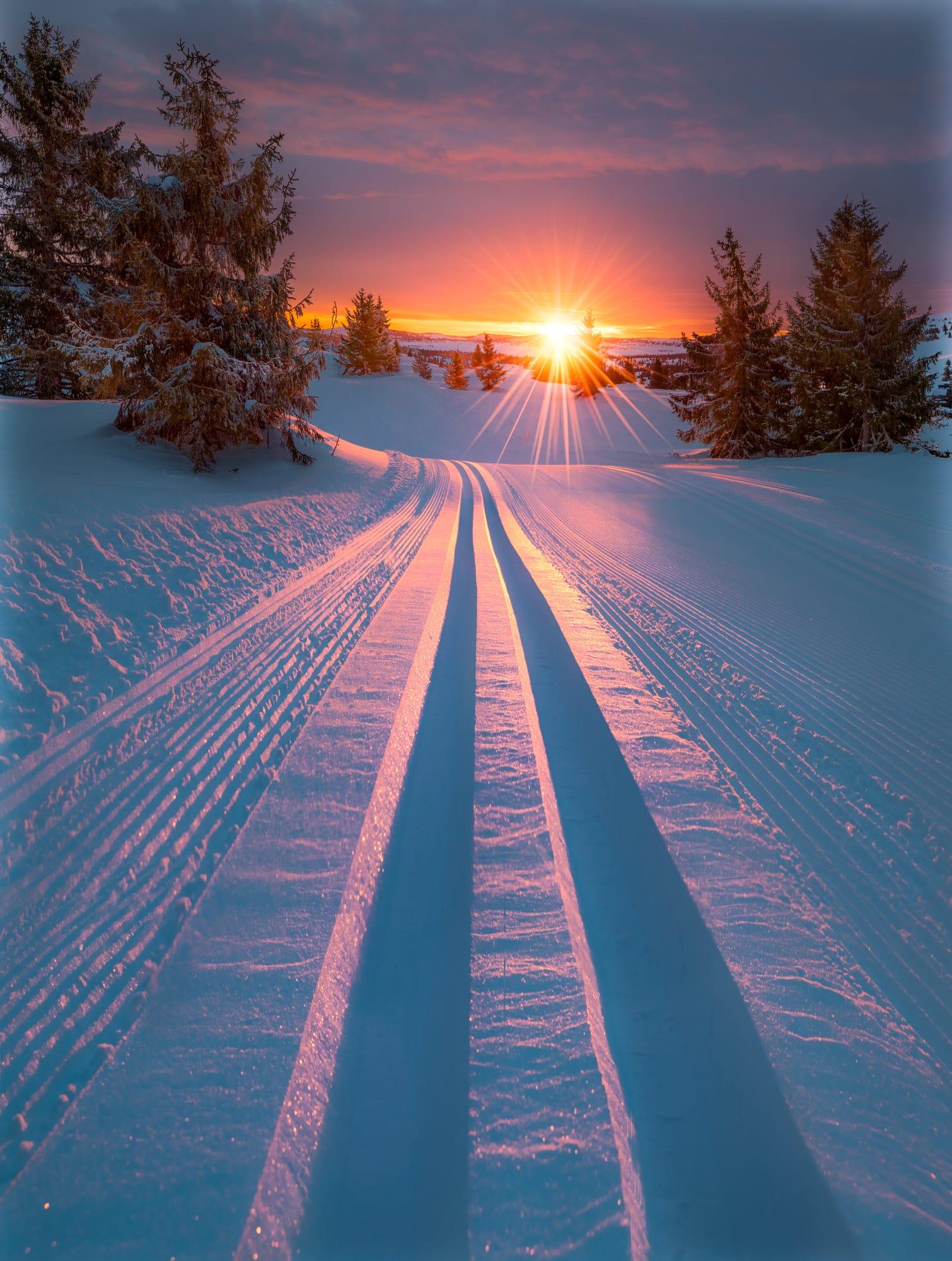 Skiing into morning light