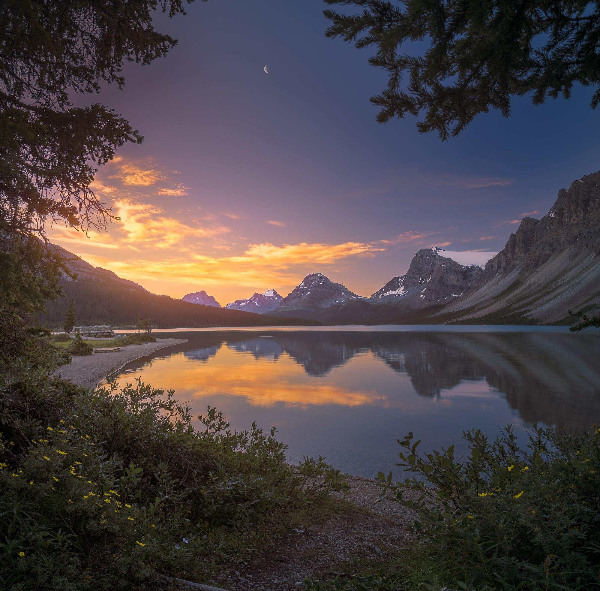 Bow Lake at dawn