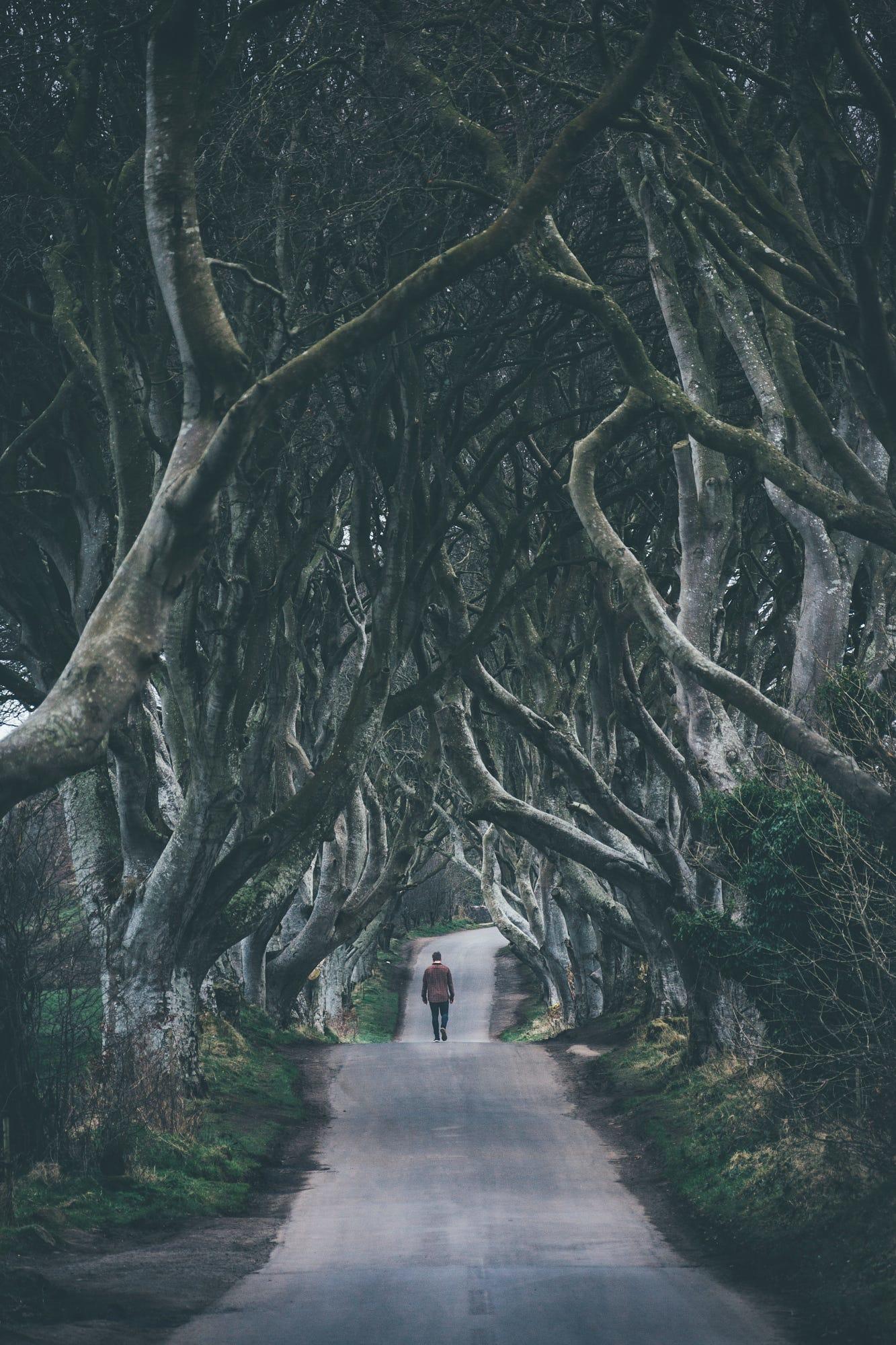 Back from Ireland, last stop was the green heart of Northern Ireland. - The dark hedges.