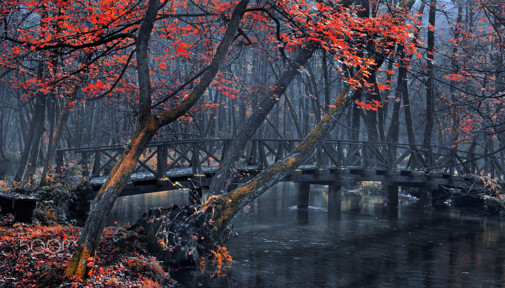 Wooden Bridge