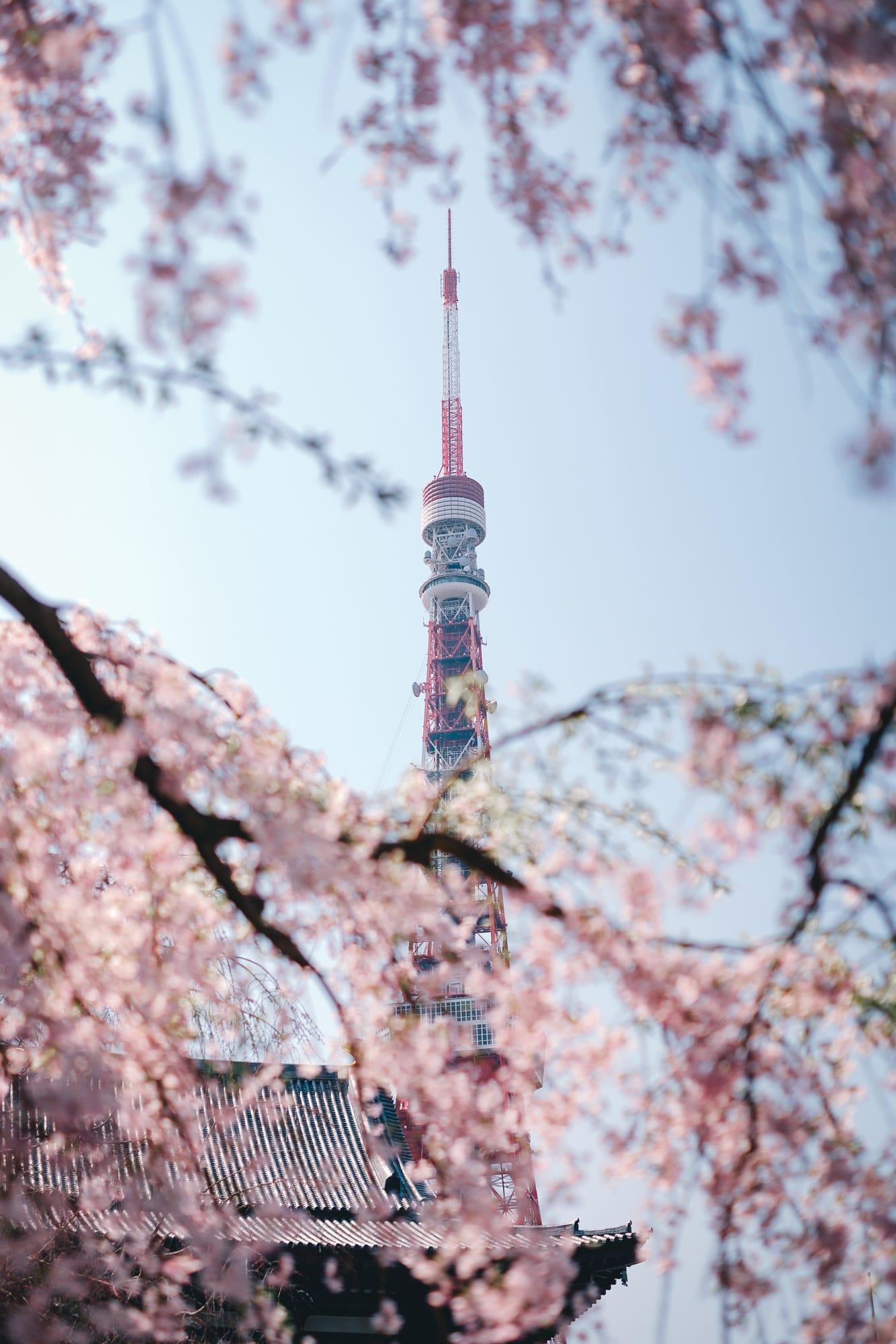 Tokyo in spring