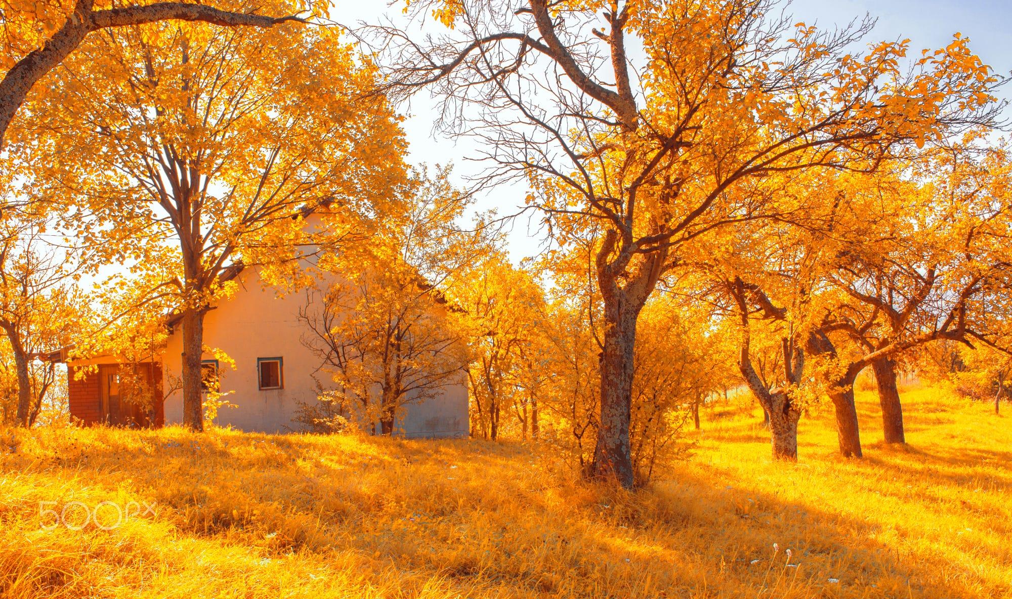 Old House