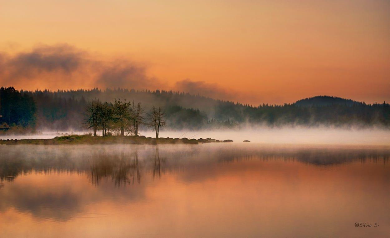 Morning mists