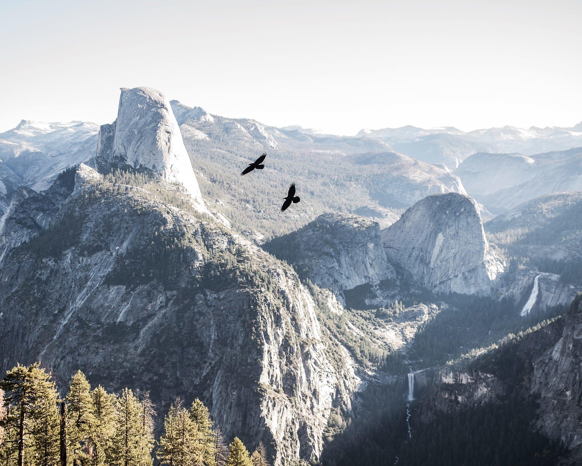 washburn point. yosemite national park. california