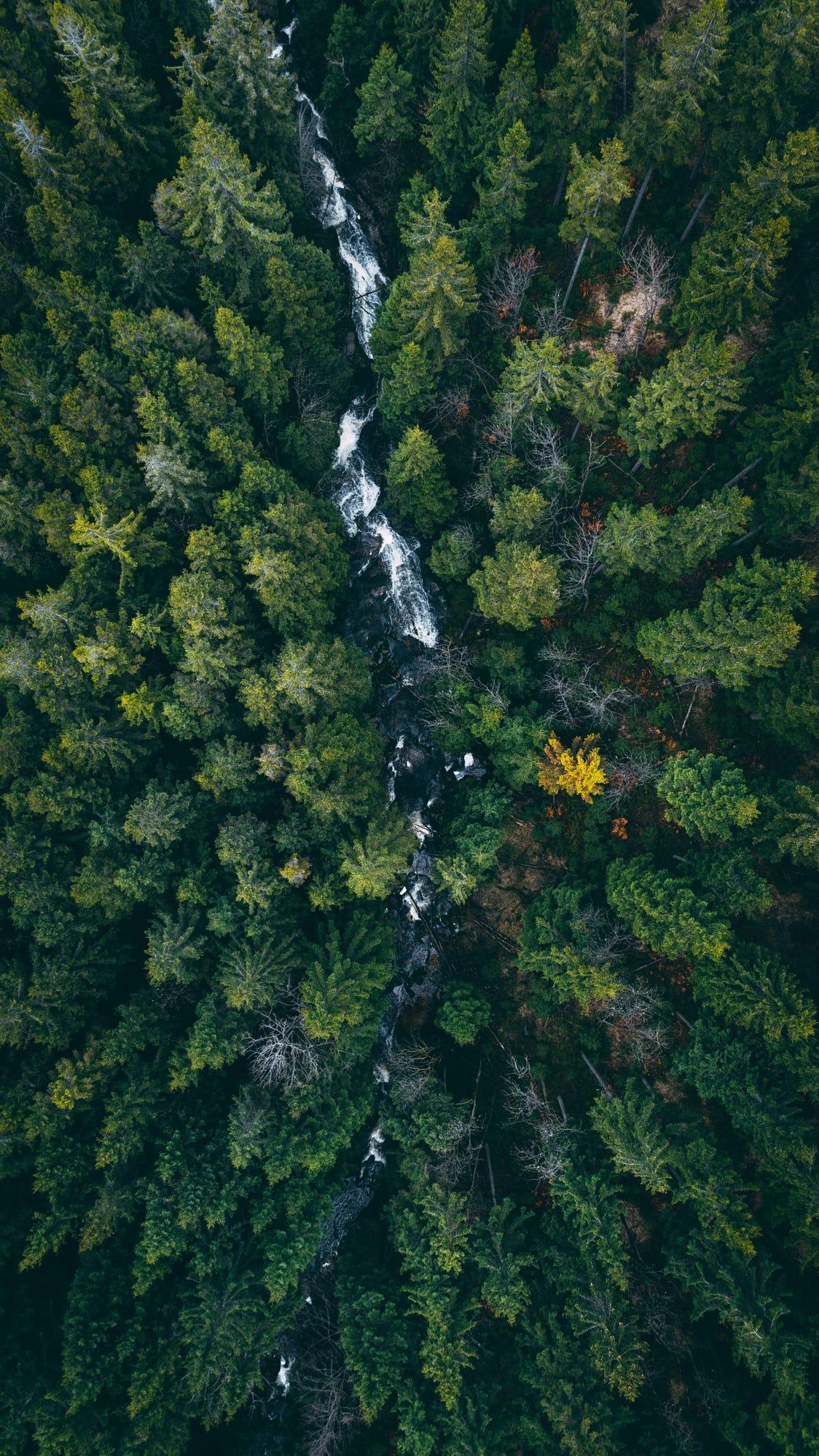 Green heart of Poland.