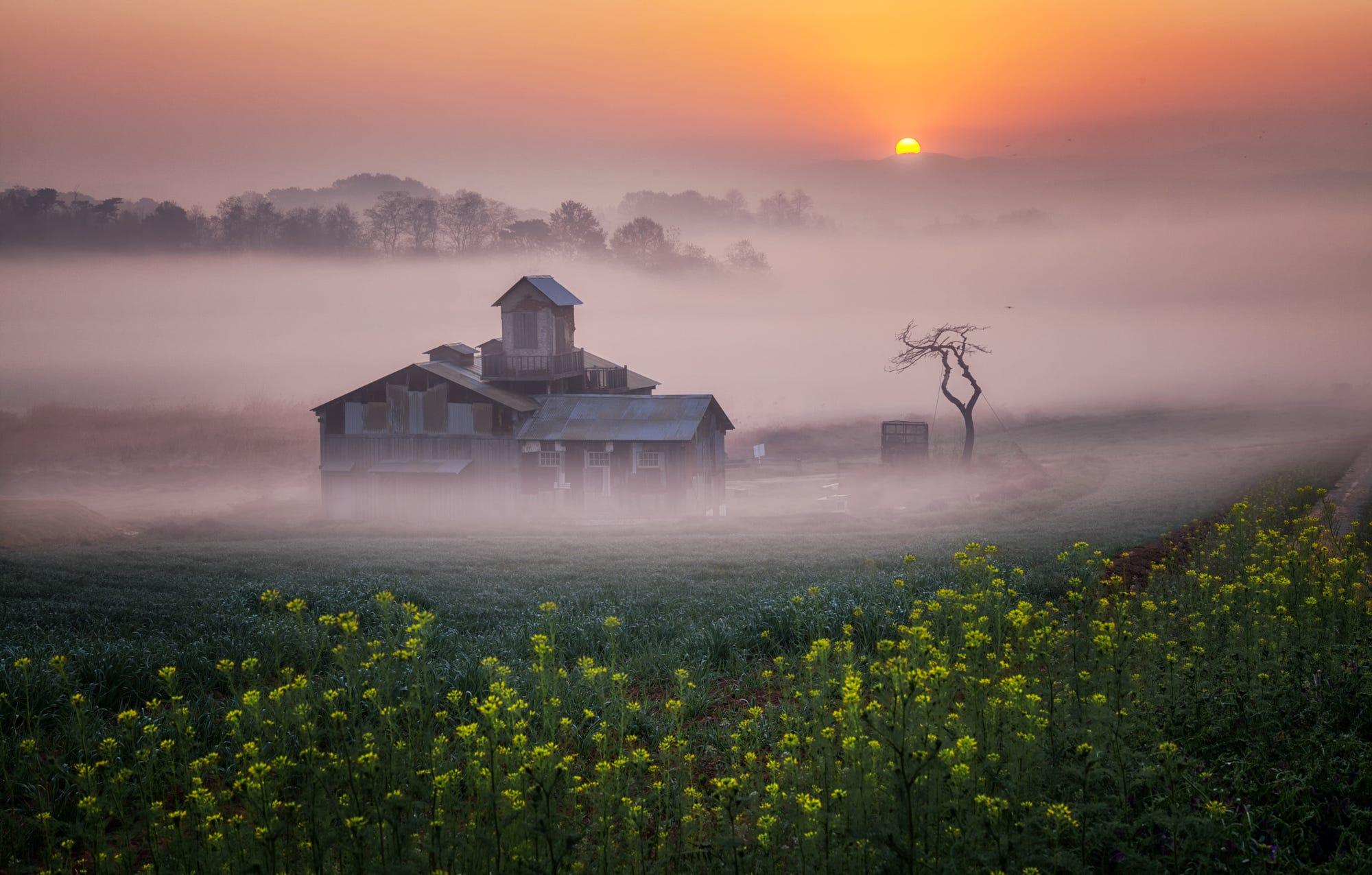 Sunrise on the farm