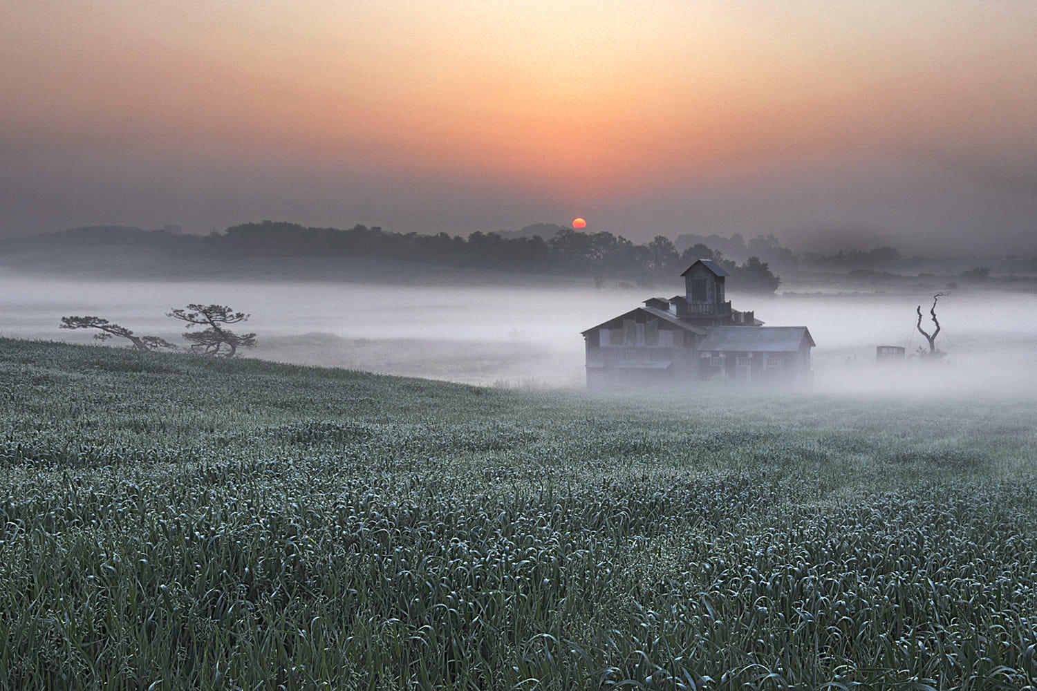 The sunrise of a farm