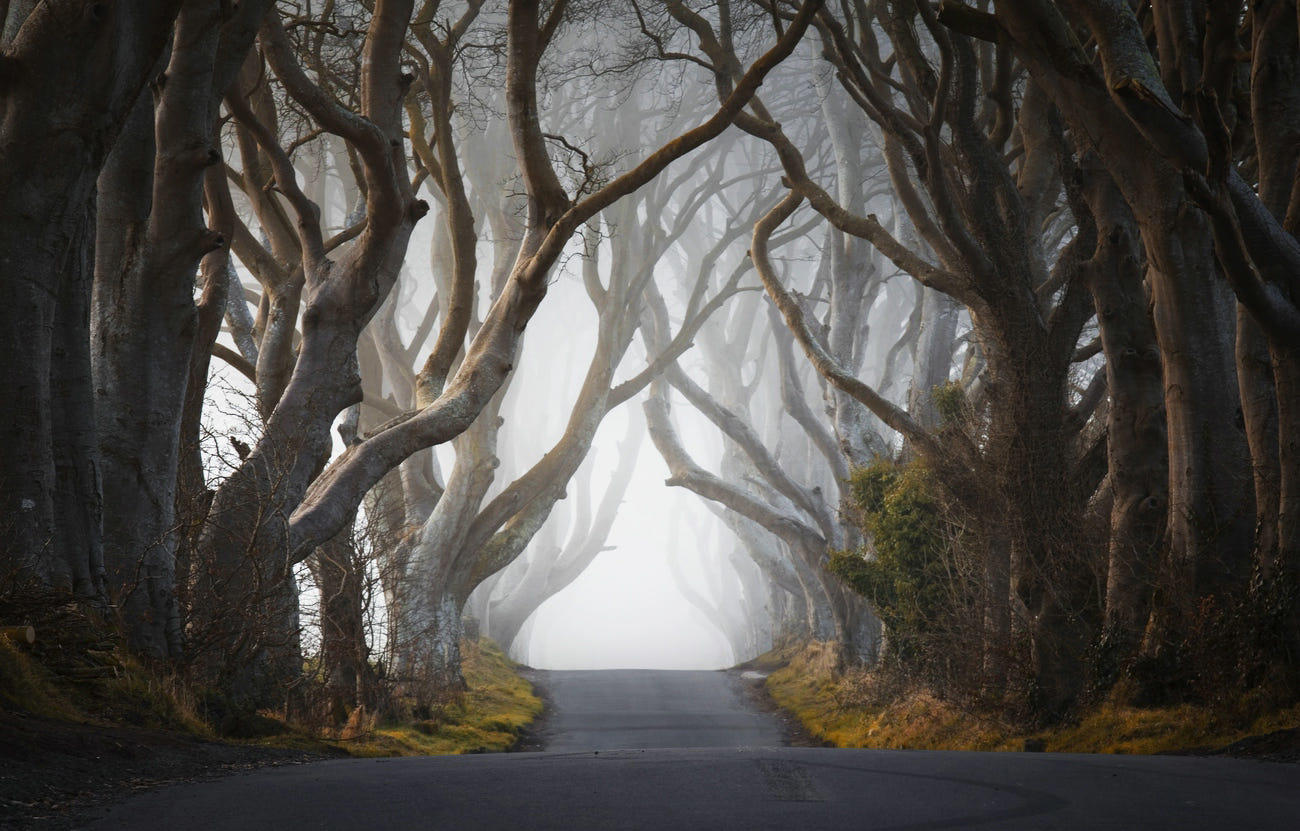 Mystical Road